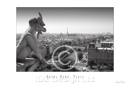 Original photography by Terence Waeland - Notre Dame, Paris